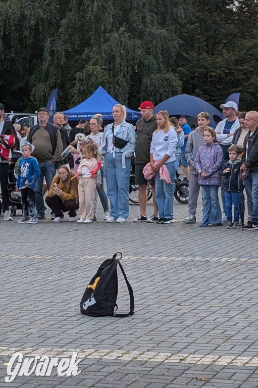 Piekary Śląskie. Piknik pod Kopcem Wyzwolenia