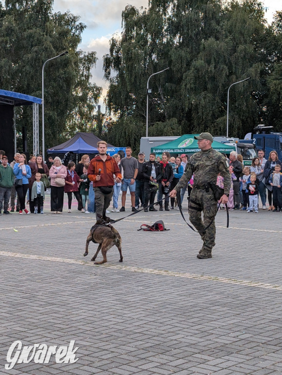 Piekary Śląskie. Piknik pod Kopcem Wyzwolenia