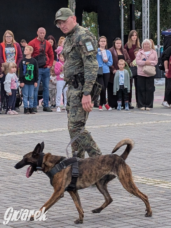 Piekary Śląskie. Piknik pod Kopcem Wyzwolenia