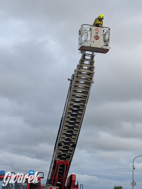 Piekary Śląskie. Piknik pod Kopcem Wyzwolenia