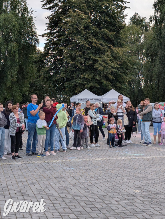 Piekary Śląskie. Piknik pod Kopcem Wyzwolenia