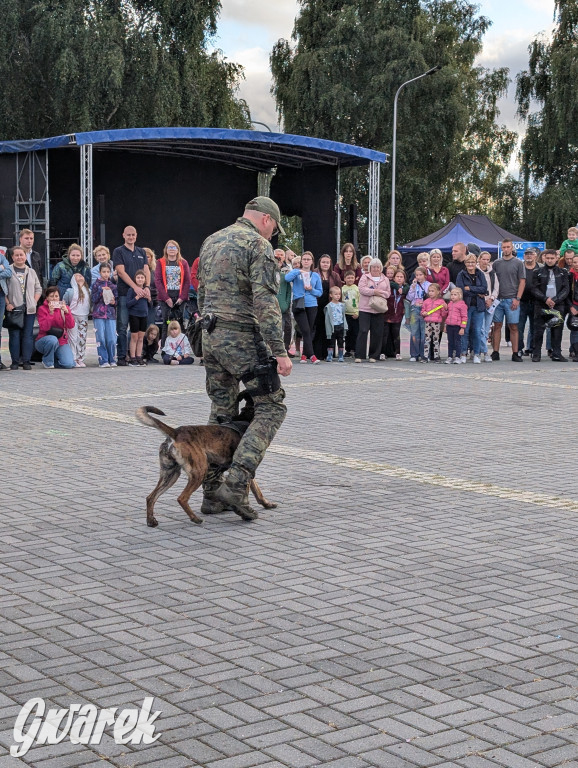 Piekary Śląskie. Piknik pod Kopcem Wyzwolenia
