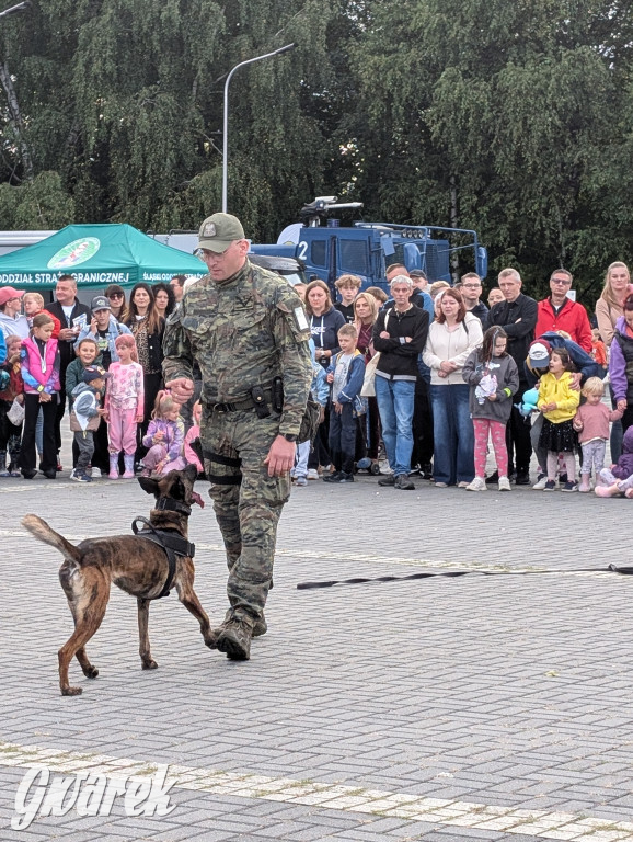 Piekary Śląskie. Piknik pod Kopcem Wyzwolenia
