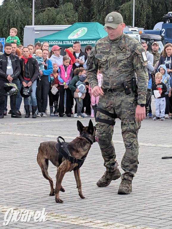 Piekary Śląskie. Piknik pod Kopcem Wyzwolenia