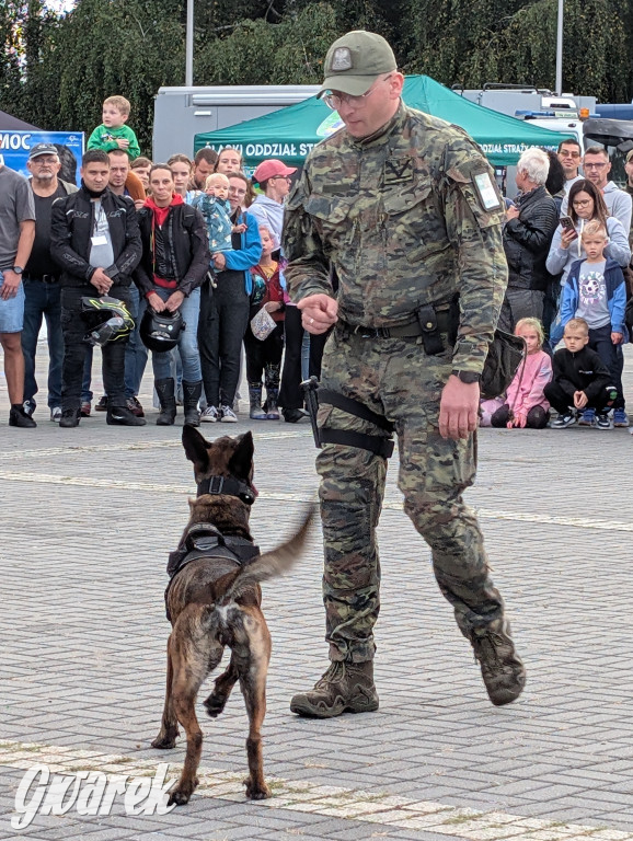 Piekary Śląskie. Piknik pod Kopcem Wyzwolenia