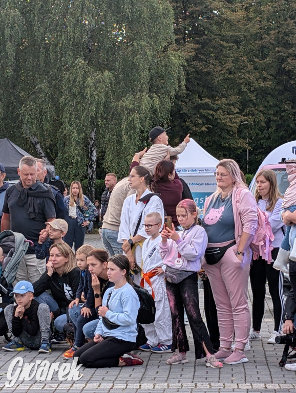 Piekary Śląskie. Piknik pod Kopcem Wyzwolenia