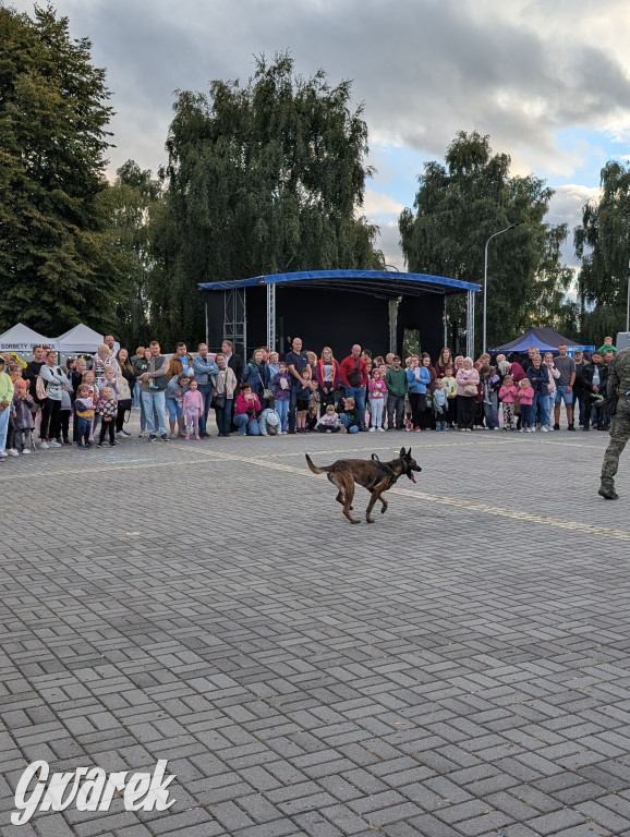 Piekary Śląskie. Piknik pod Kopcem Wyzwolenia