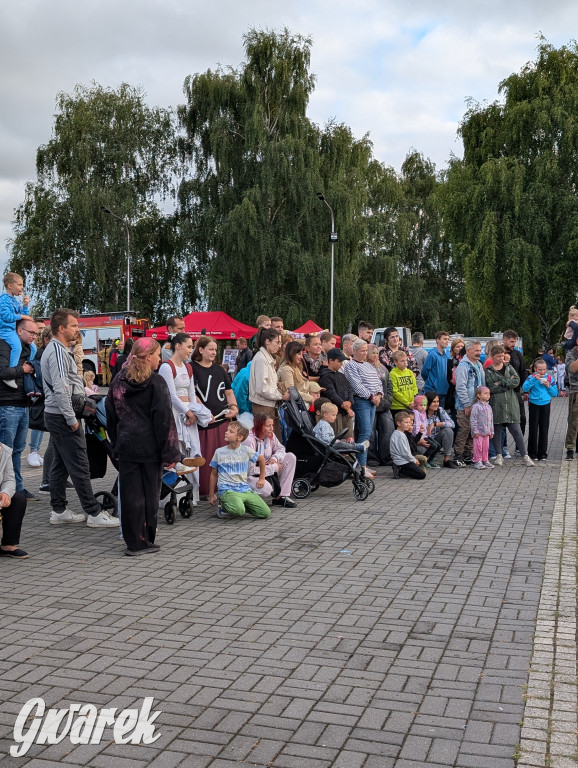 Piekary Śląskie. Piknik pod Kopcem Wyzwolenia