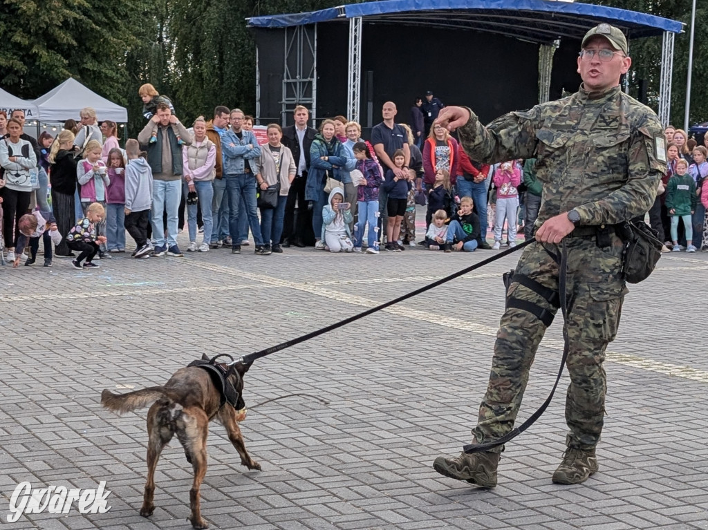 Piekary Śląskie. Piknik pod Kopcem Wyzwolenia