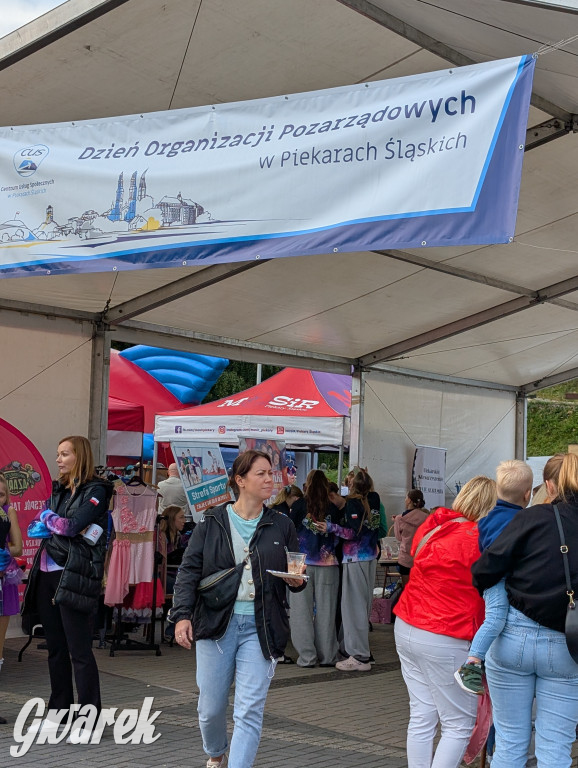 Piekary Śląskie. Piknik pod Kopcem Wyzwolenia