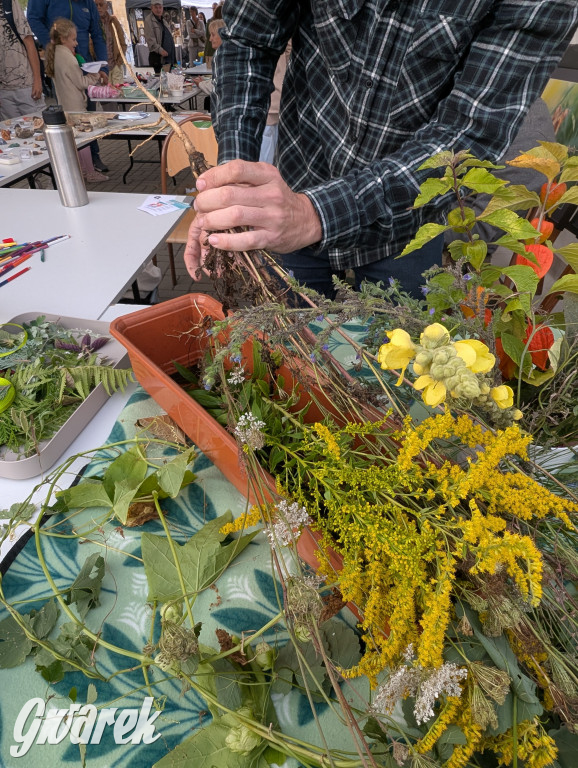 Piekary Śląskie. Piknik pod Kopcem Wyzwolenia