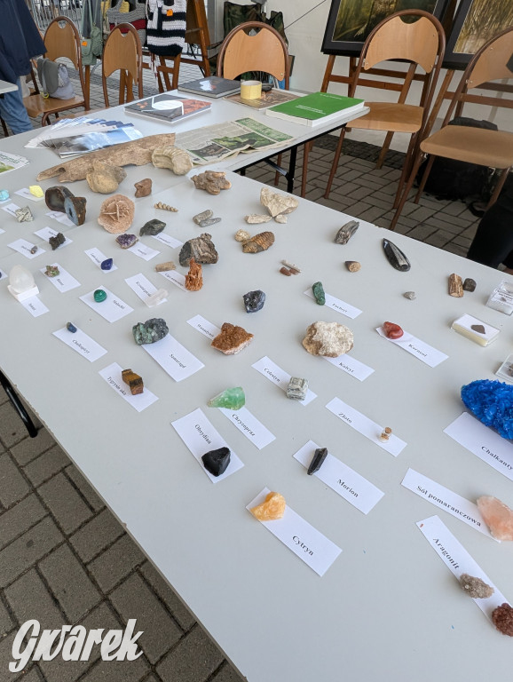 Piekary Śląskie. Piknik pod Kopcem Wyzwolenia