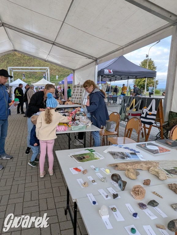 Piekary Śląskie. Piknik pod Kopcem Wyzwolenia