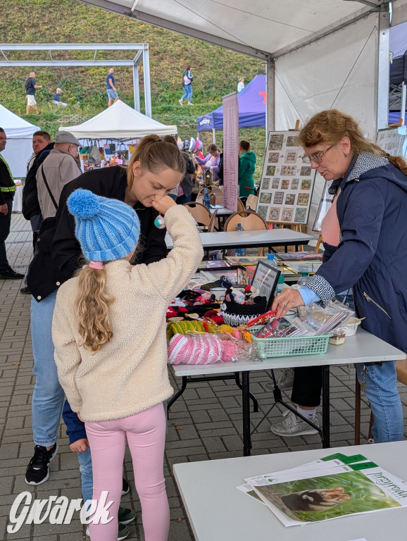 Piekary Śląskie. Piknik pod Kopcem Wyzwolenia