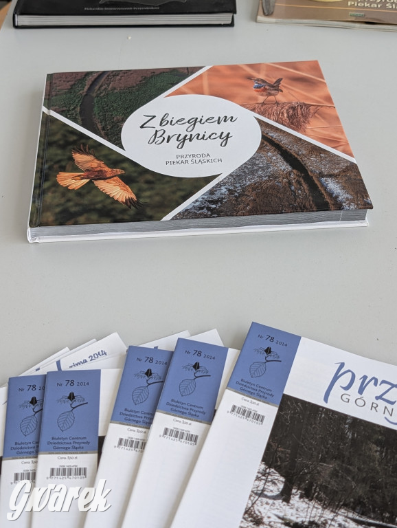 Piekary Śląskie. Piknik pod Kopcem Wyzwolenia