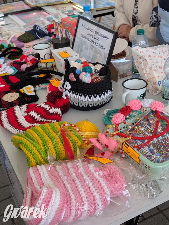 Piekary Śląskie. Piknik pod Kopcem Wyzwolenia