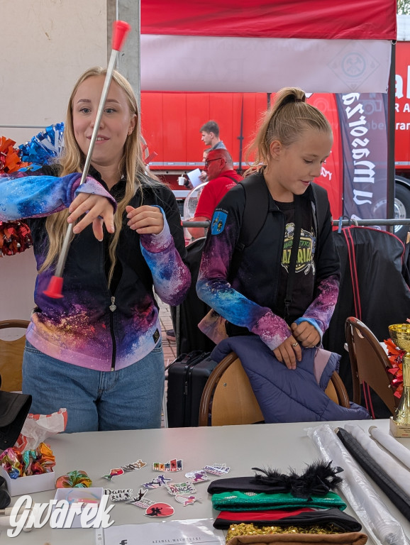 Piekary Śląskie. Piknik pod Kopcem Wyzwolenia