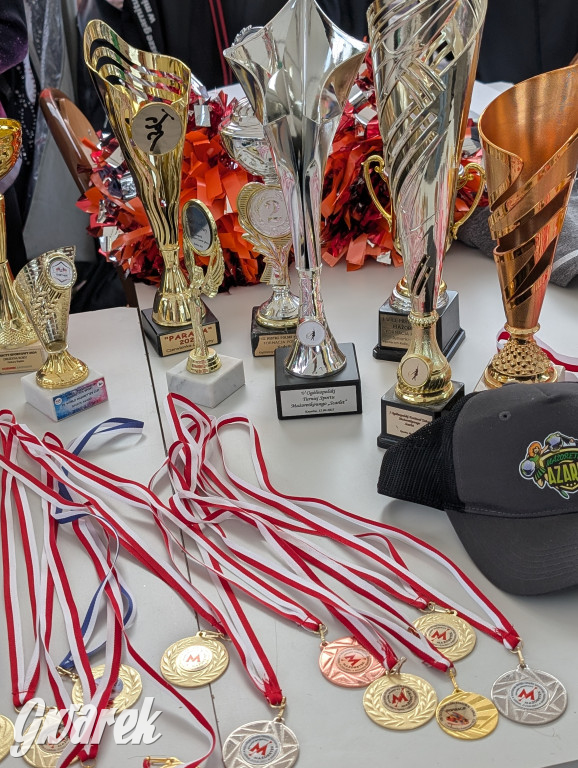 Piekary Śląskie. Piknik pod Kopcem Wyzwolenia