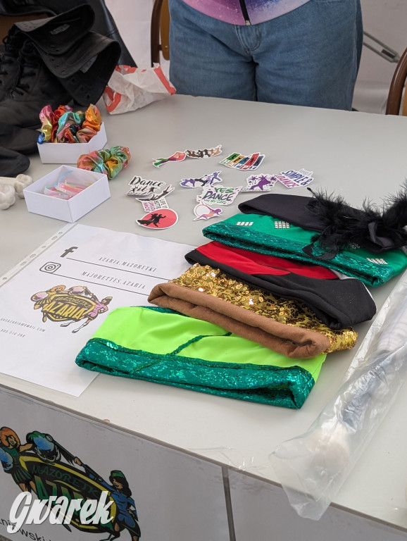 Piekary Śląskie. Piknik pod Kopcem Wyzwolenia