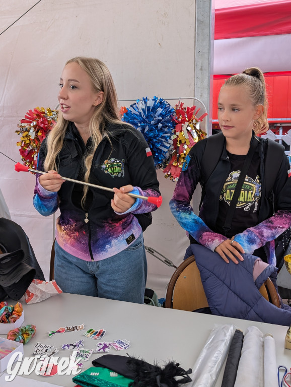 Piekary Śląskie. Piknik pod Kopcem Wyzwolenia