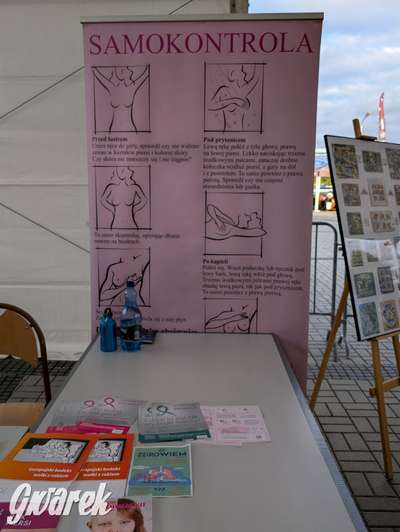 Piekary Śląskie. Piknik pod Kopcem Wyzwolenia