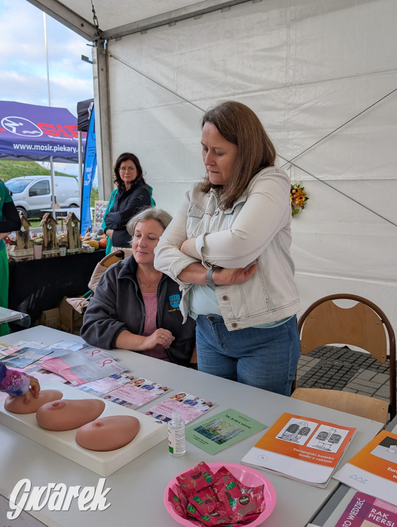 Piekary Śląskie. Piknik pod Kopcem Wyzwolenia