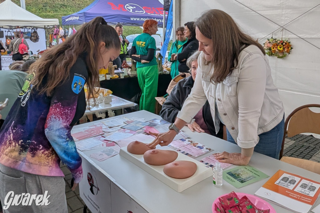 Piekary Śląskie. Piknik pod Kopcem Wyzwolenia