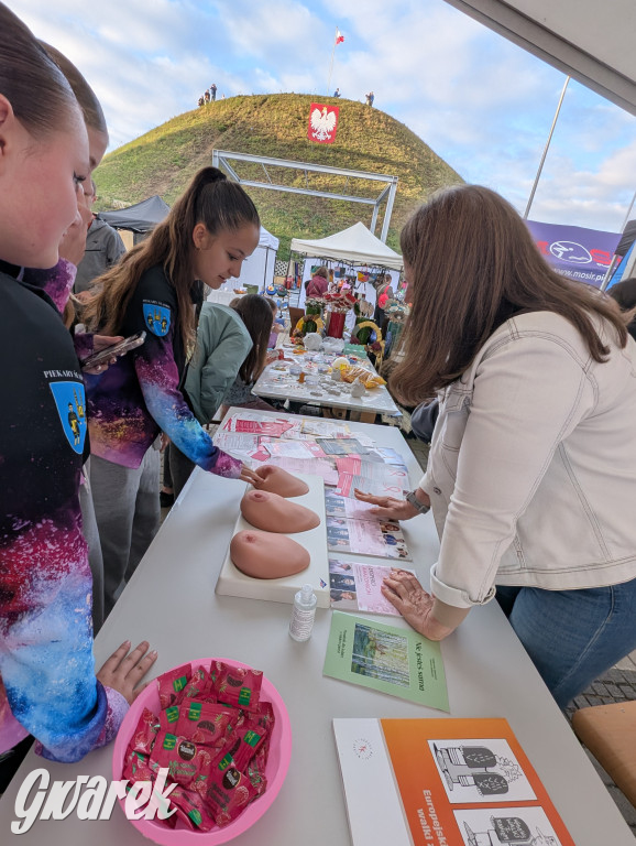 Piekary Śląskie. Piknik pod Kopcem Wyzwolenia