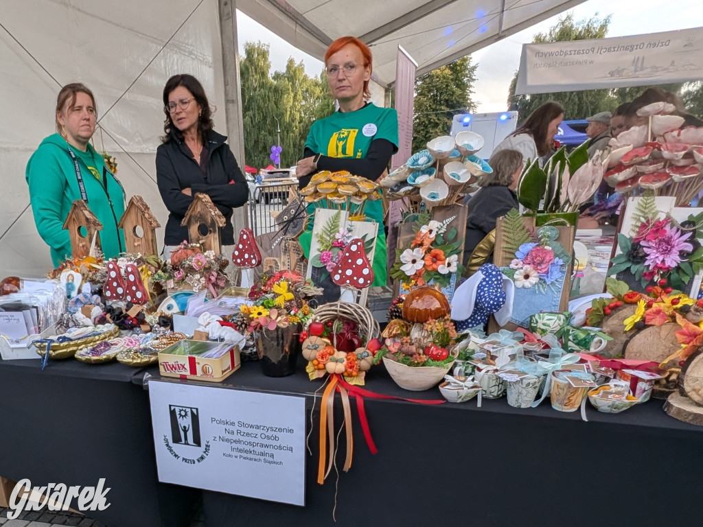 Piekary Śląskie. Piknik pod Kopcem Wyzwolenia