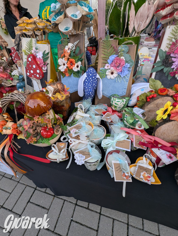 Piekary Śląskie. Piknik pod Kopcem Wyzwolenia