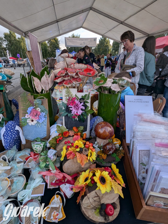 Piekary Śląskie. Piknik pod Kopcem Wyzwolenia