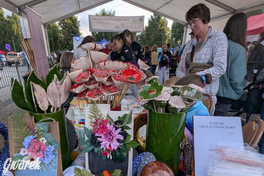 Piekary Śląskie. Piknik pod Kopcem Wyzwolenia