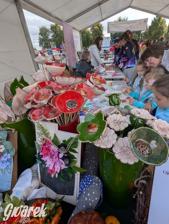 Piekary Śląskie. Piknik pod Kopcem Wyzwolenia