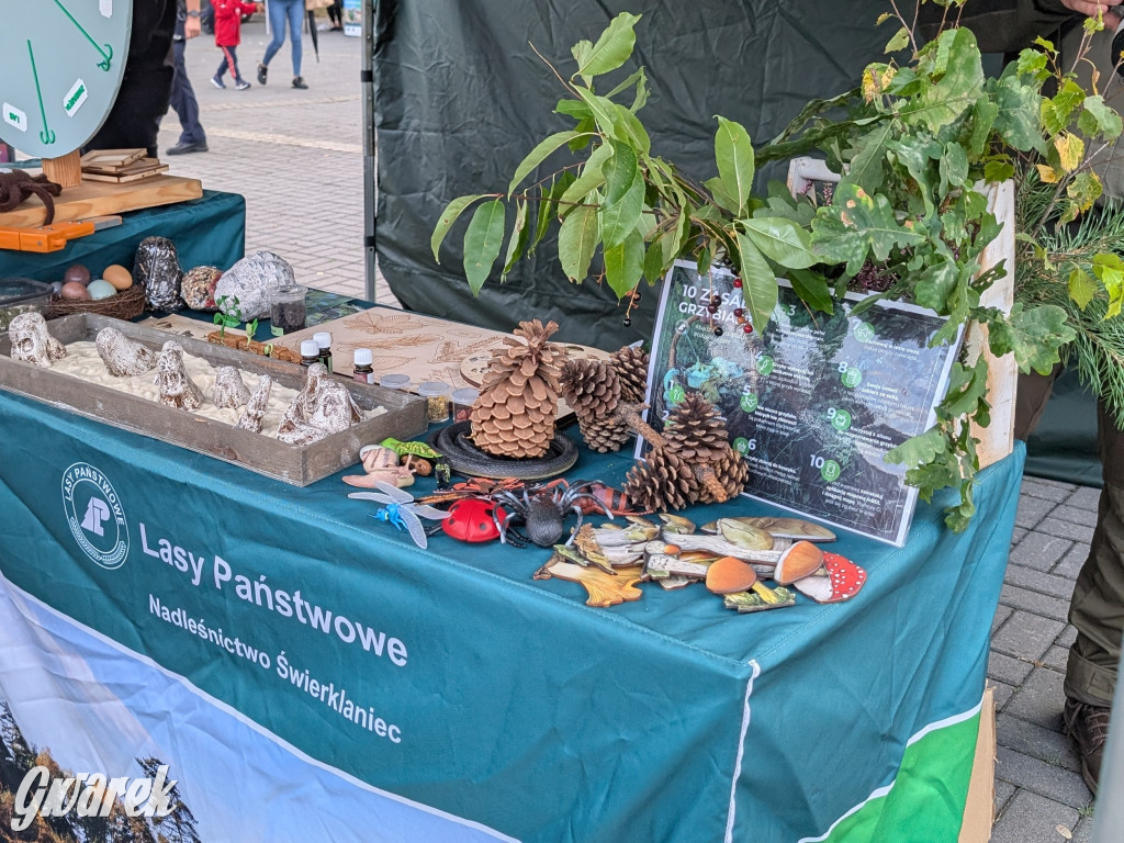 Piekary Śląskie. Piknik pod Kopcem Wyzwolenia