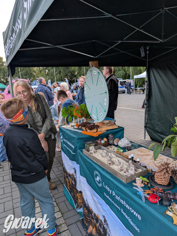 Piekary Śląskie. Piknik pod Kopcem Wyzwolenia