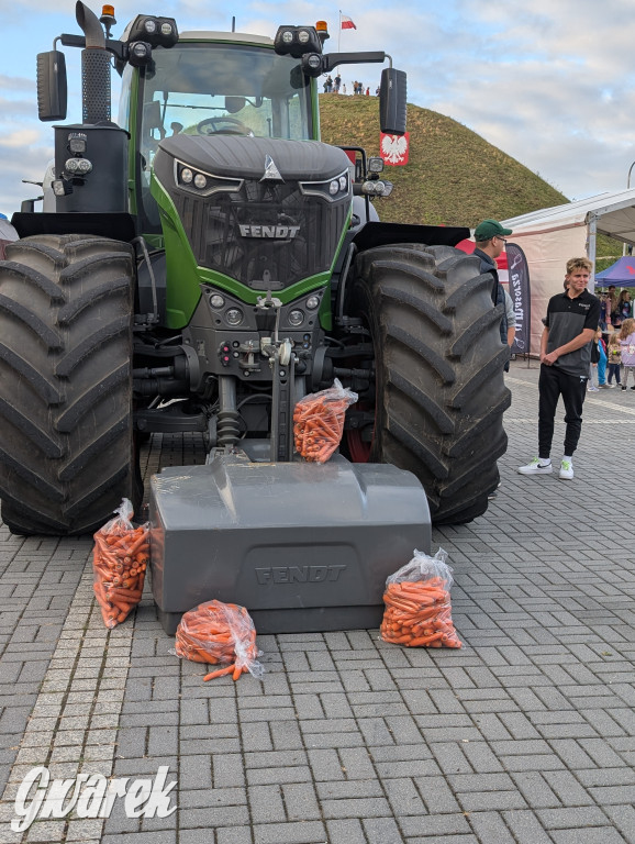 Piekary Śląskie. Piknik pod Kopcem Wyzwolenia