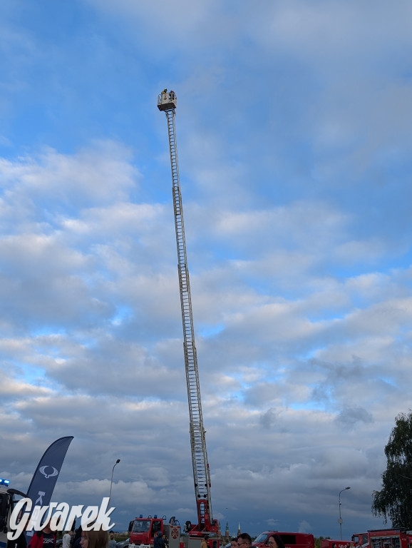 Piekary Śląskie. Piknik pod Kopcem Wyzwolenia
