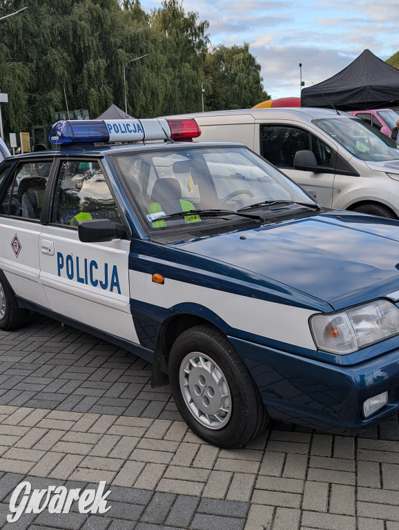Piekary Śląskie. Piknik pod Kopcem Wyzwolenia
