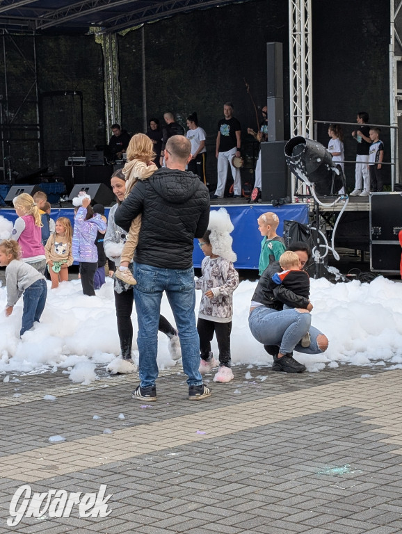 Piekary Śląskie. Piknik pod Kopcem Wyzwolenia
