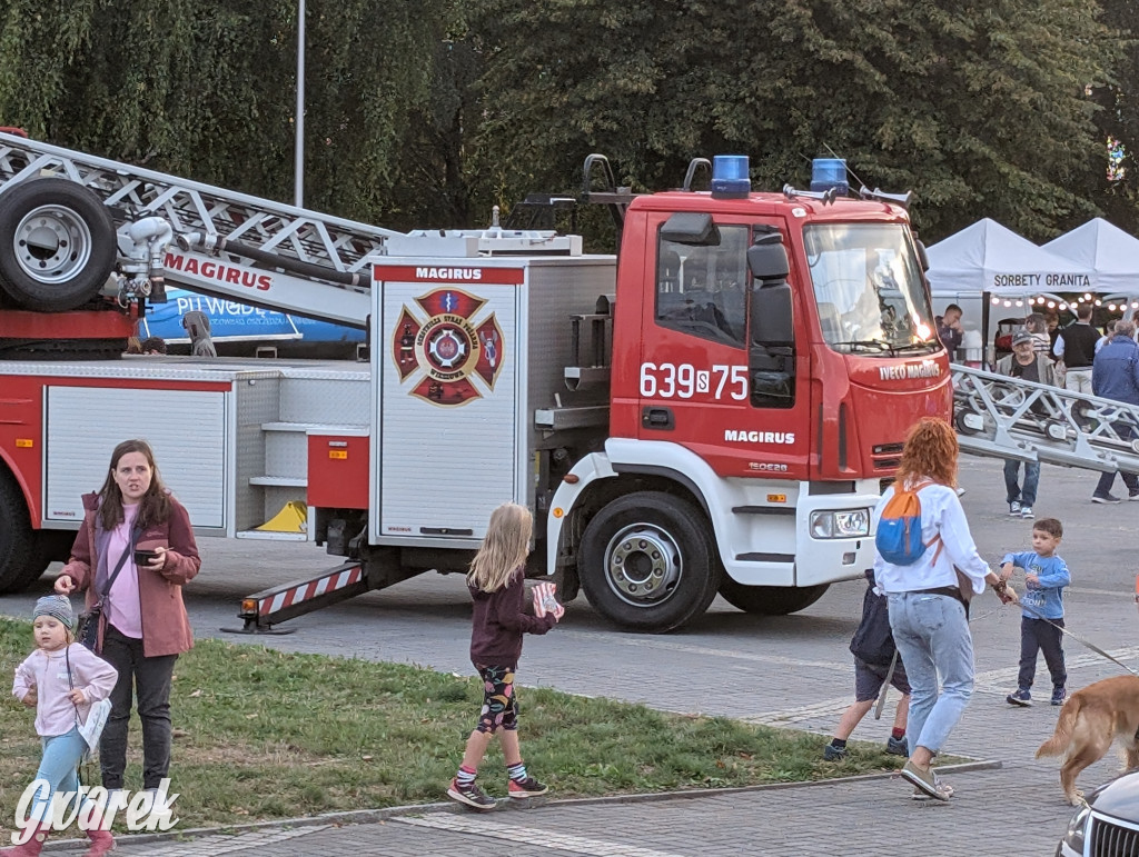 Piekary Śląskie. Piknik pod Kopcem Wyzwolenia