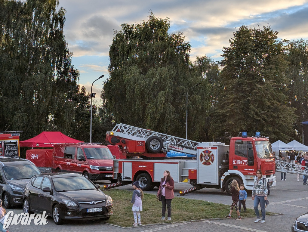 Piekary Śląskie. Piknik pod Kopcem Wyzwolenia