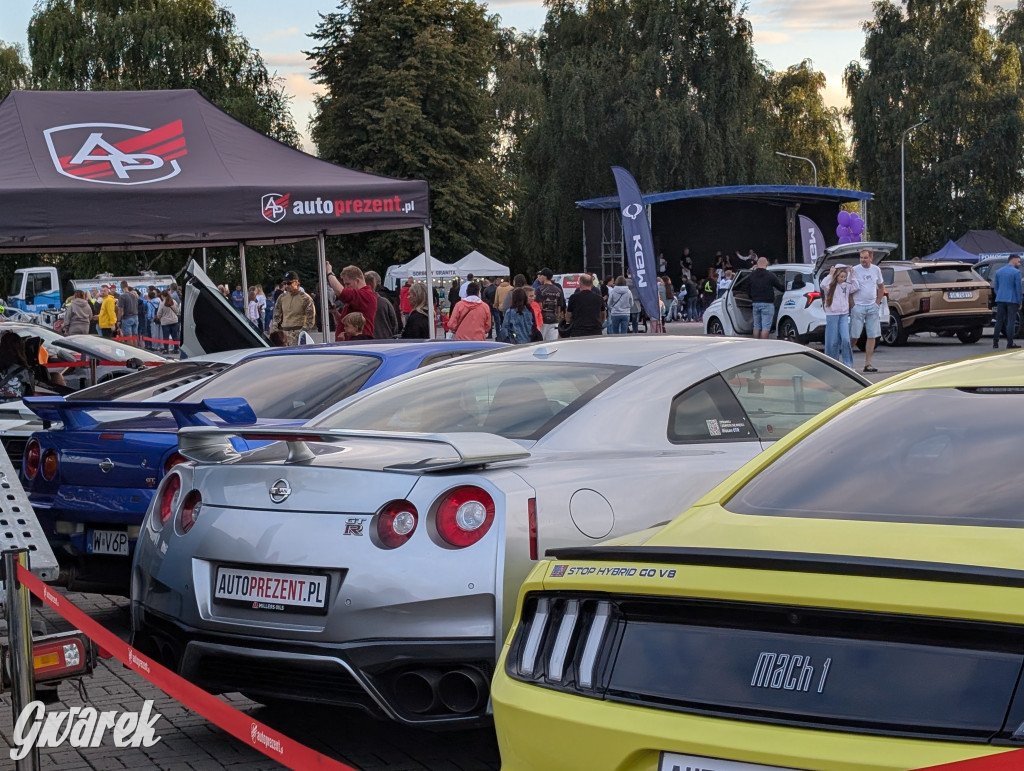 Piekary Śląskie. Piknik pod Kopcem Wyzwolenia