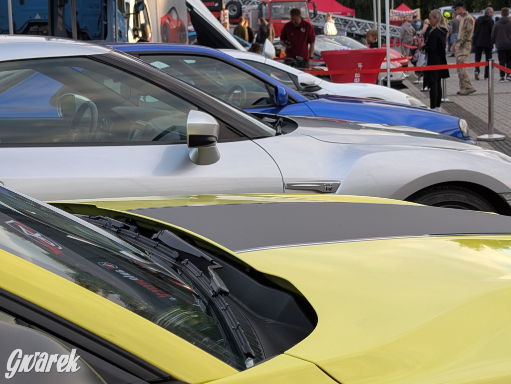 Piekary Śląskie. Piknik pod Kopcem Wyzwolenia