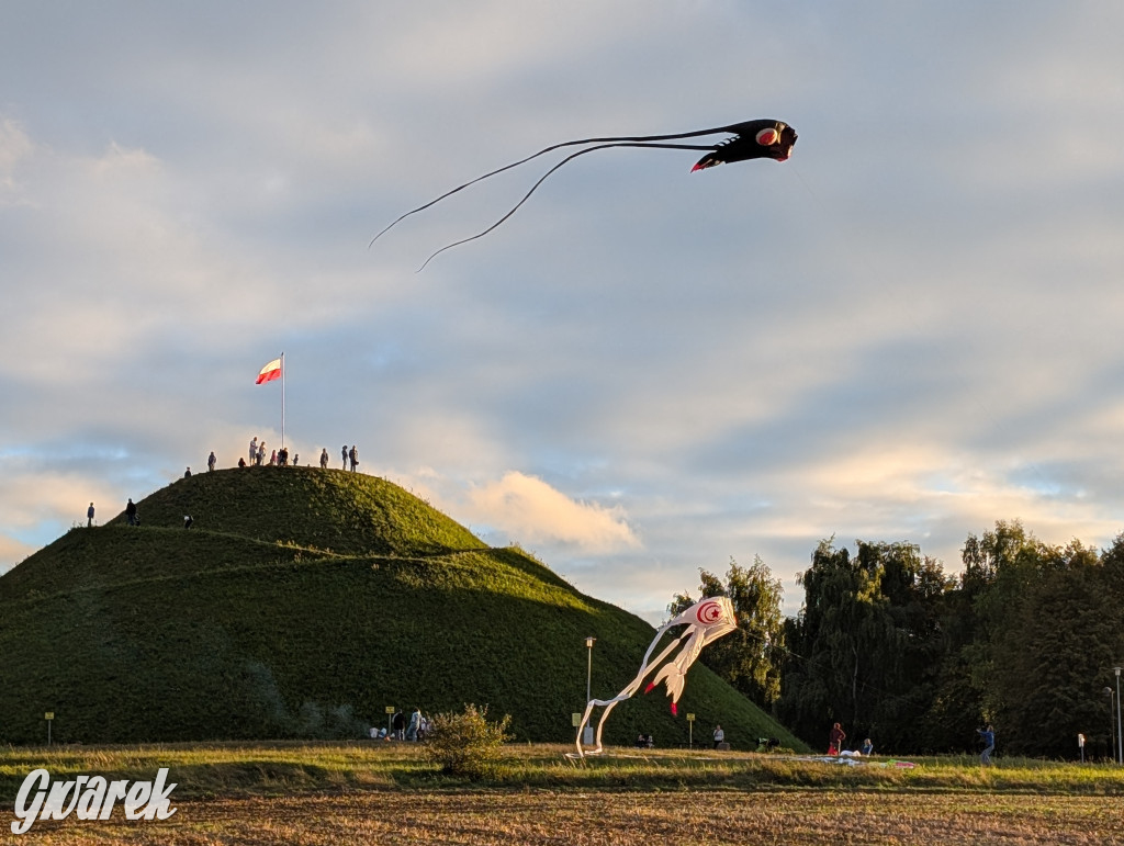 Piekary Śląskie. Piknik pod Kopcem Wyzwolenia