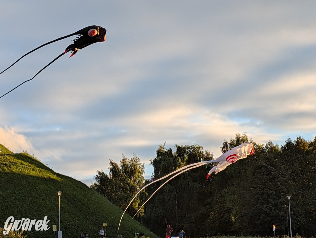 Piekary Śląskie. Piknik pod Kopcem Wyzwolenia