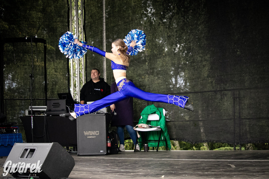 Piekary Śląskie. Piknik pod Kopcem Wyzwolenia