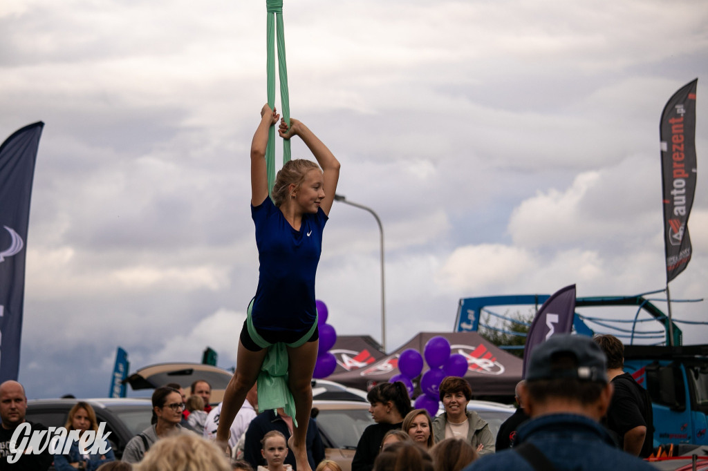 Piekary Śląskie. Piknik pod Kopcem Wyzwolenia