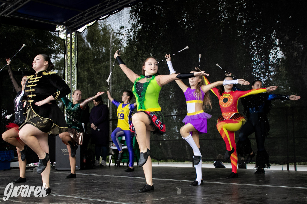 Piekary Śląskie. Piknik pod Kopcem Wyzwolenia