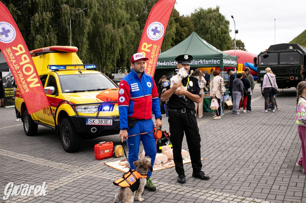 Piekary Śląskie. Piknik pod Kopcem Wyzwolenia