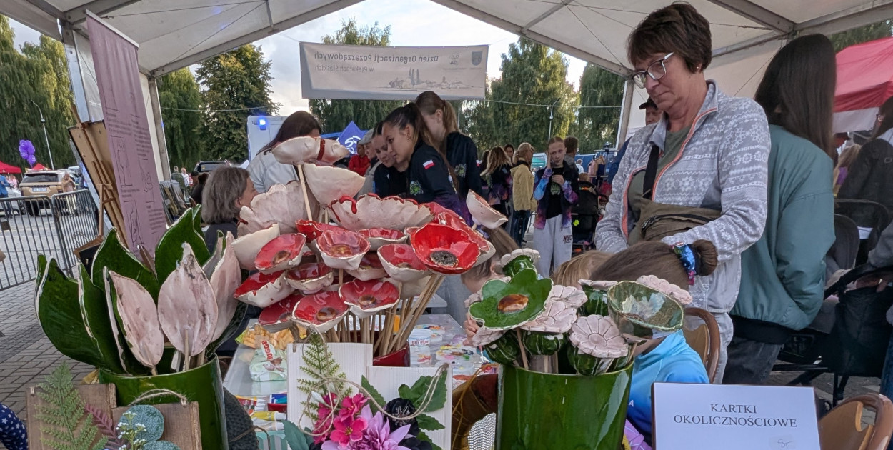 Piekary Śląskie. Piknik pod Kopcem Wyzwolenia